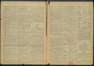 gazeta radomska-1885-20-00002